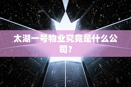 太湖一号物业究竟是什么公司？