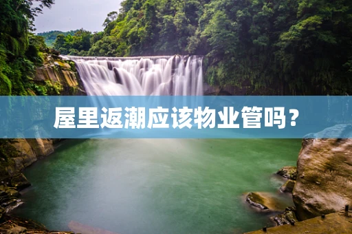 屋里返潮应该物业管吗？