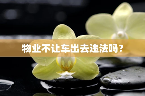 物业不让车出去违法吗？