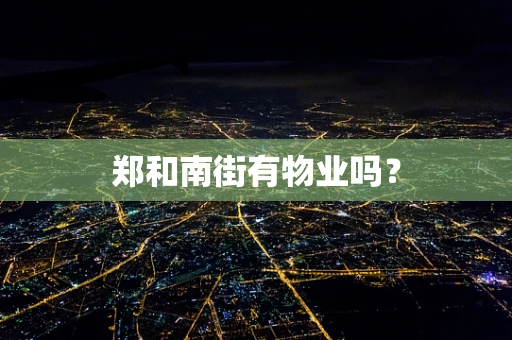郑和南街有物业吗？