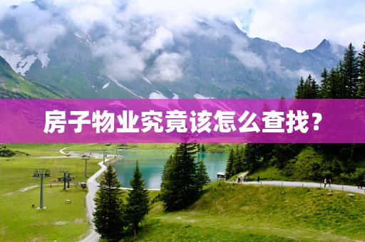 房子物业究竟该怎么查找？
