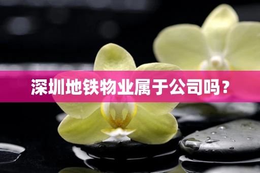深圳地铁物业属于公司吗？