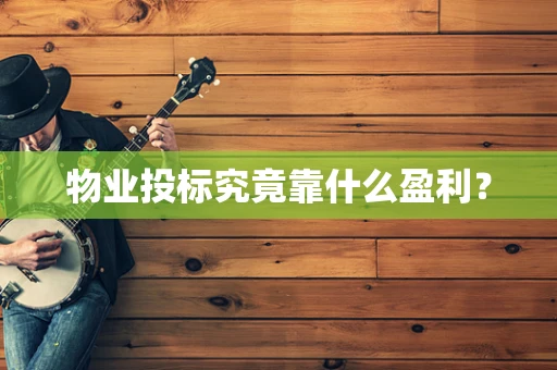 物业投标究竟靠什么盈利？