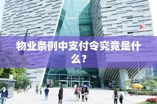 物业条例中支付令究竟是什么？