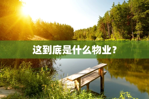 这到底是什么物业？