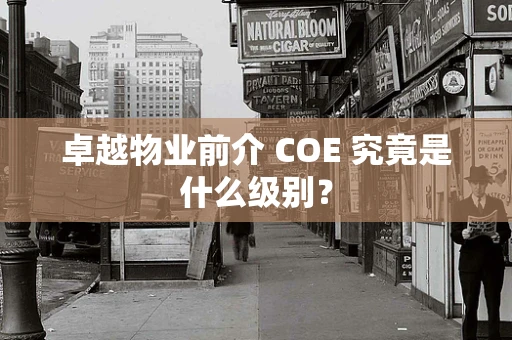 卓越物业前介 COE 究竟是什么级别？