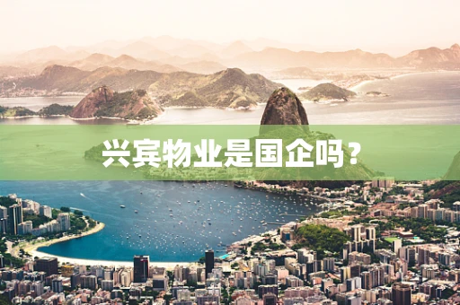 兴宾物业是国企吗？