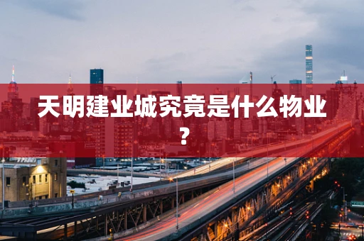 天明建业城究竟是什么物业？