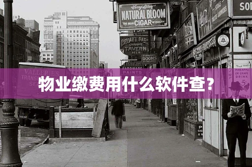 物业缴费用什么软件查？