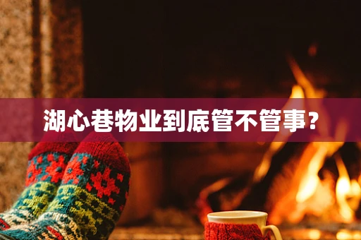 湖心巷物业到底管不管事？