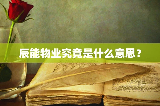 辰能物业究竟是什么意思？
