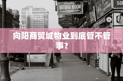 向阳商贸城物业到底管不管事？
