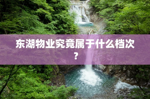 东湖物业究竟属于什么档次？