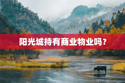 阳光城持有商业物业吗？