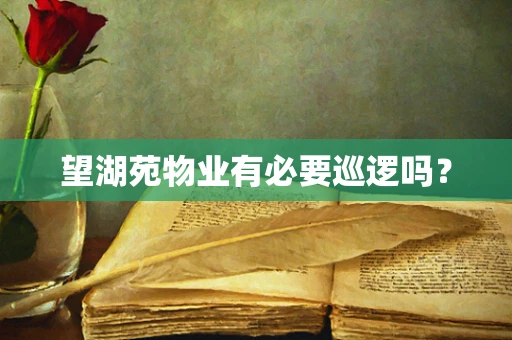 望湖苑物业有必要巡逻吗？