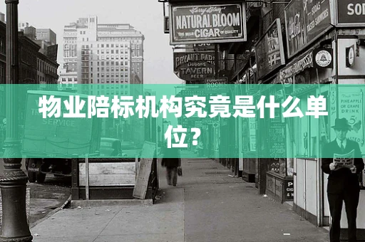 物业陪标机构究竟是什么单位？