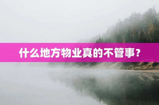 什么地方物业真的不管事？
