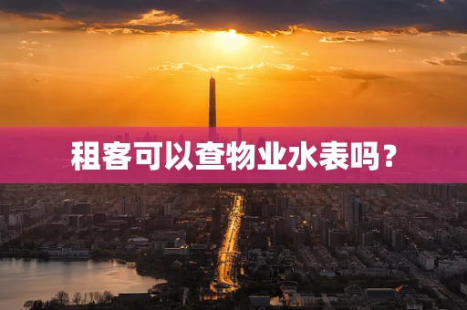 租客可以查物业水表吗？