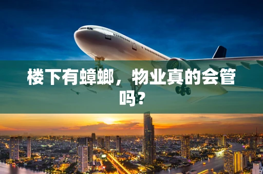 楼下有蟑螂，物业真的会管吗？