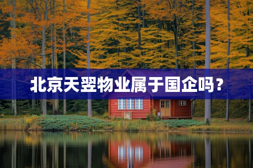北京天翌物业属于国企吗？
