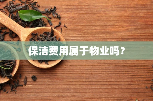 保洁费用属于物业吗？