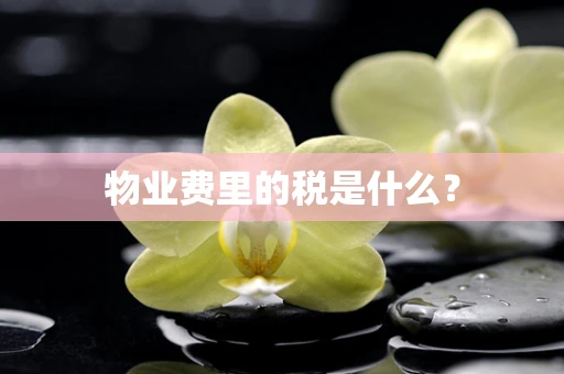 物业费里的税是什么？