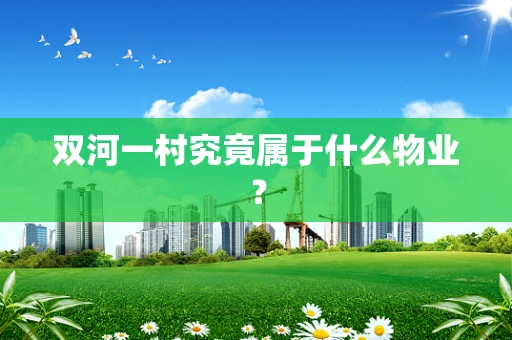 双河一村究竟属于什么物业？