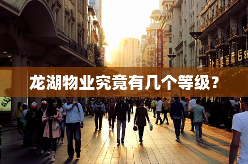 龙湖物业究竟有几个等级？