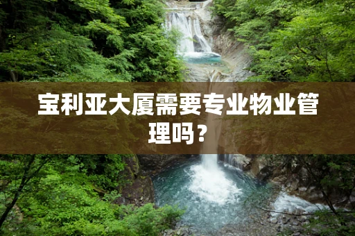 宝利亚大厦需要专业物业管理吗？