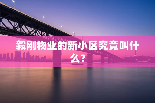 毅刚物业的新小区究竟叫什么？
