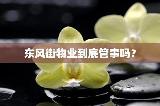东风街物业到底管事吗？