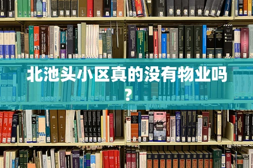 北池头小区真的没有物业吗？