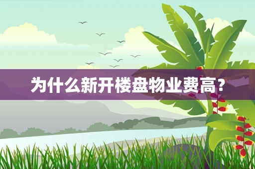 为什么新开楼盘物业费高？
