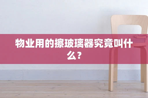 物业用的擦玻璃器究竟叫什么？
