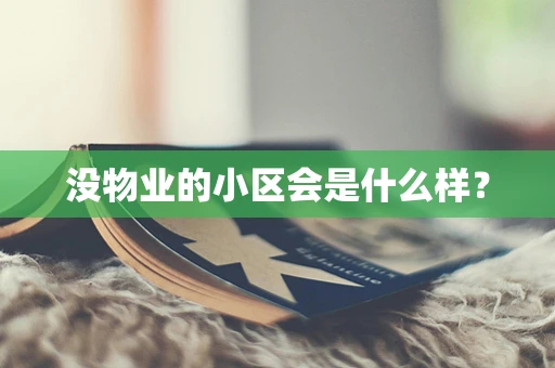 没物业的小区会是什么样？