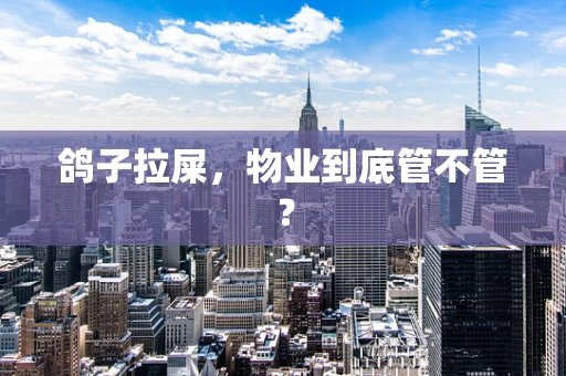 鸽子拉屎，物业到底管不管？