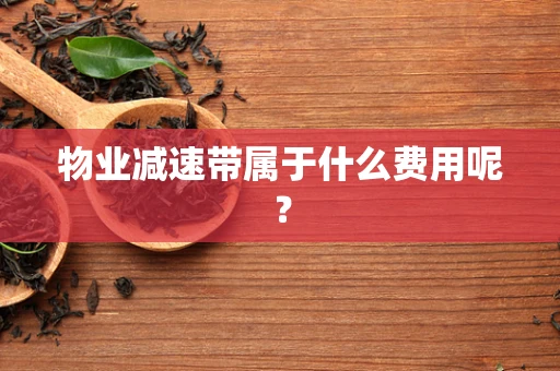 物业减速带属于什么费用呢？