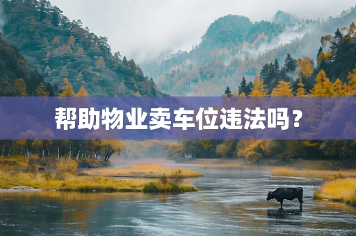 帮助物业卖车位违法吗？