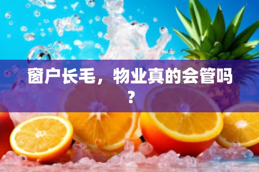 窗户长毛，物业真的会管吗？