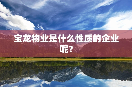 宝龙物业是什么性质的企业呢？