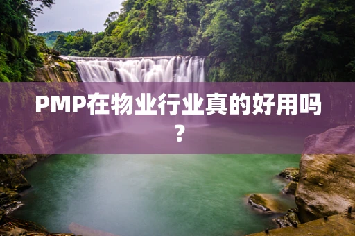 PMP在物业行业真的好用吗？