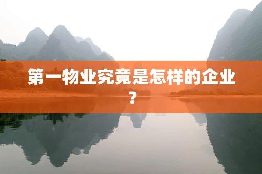 第一物业究竟是怎样的企业？