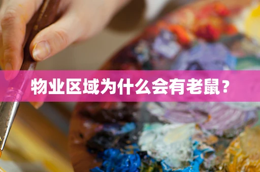 物业区域为什么会有老鼠？