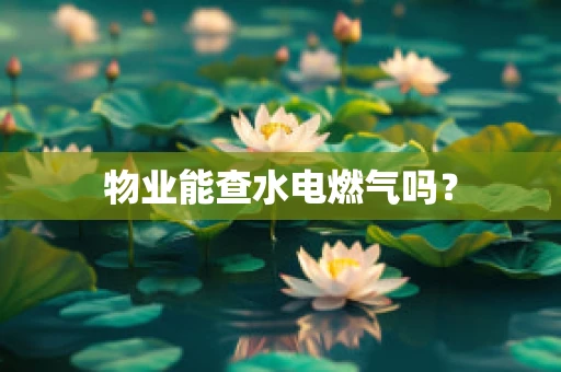 物业能查水电燃气吗？