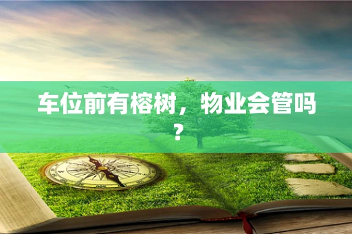 车位前有榕树，物业会管吗？