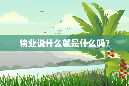 物业说什么就是什么吗？