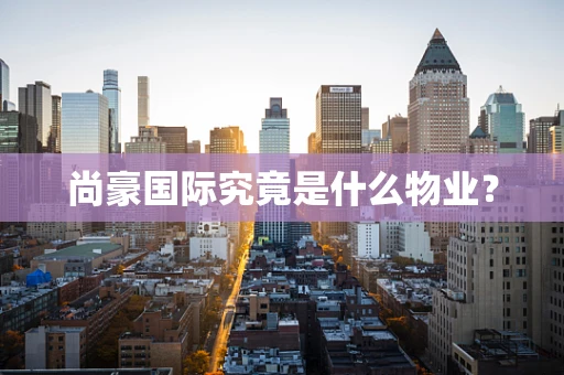 尚豪国际究竟是什么物业？