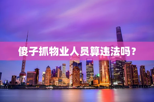 傻子抓物业人员算违法吗？