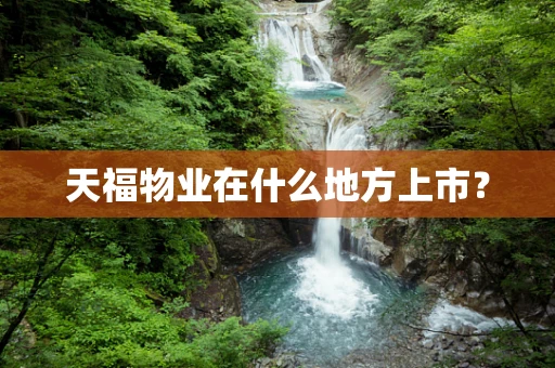 天福物业在什么地方上市？