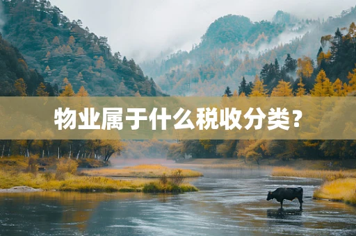 物业属于什么税收分类？